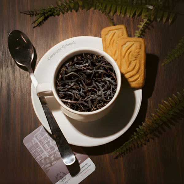 Ceylan OP Kenilworth Vrac