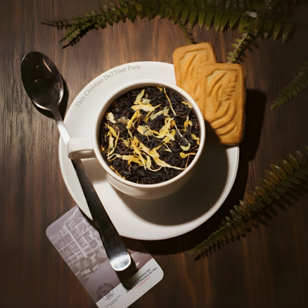 Sous Les Ponts De Paris