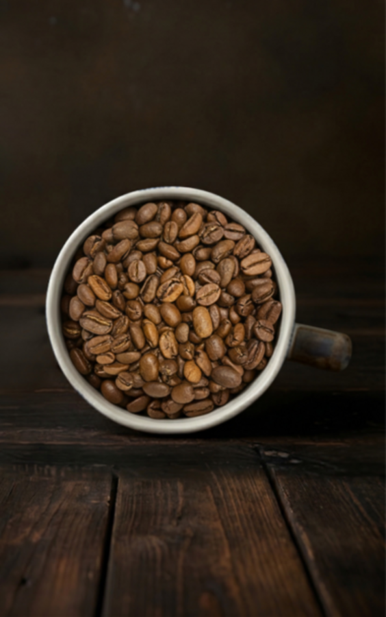 ÉTHIOPIE - JIMMA GOMA