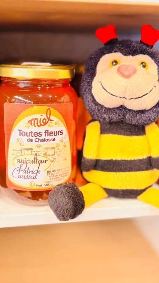 MIEL TOUTES FLEURS