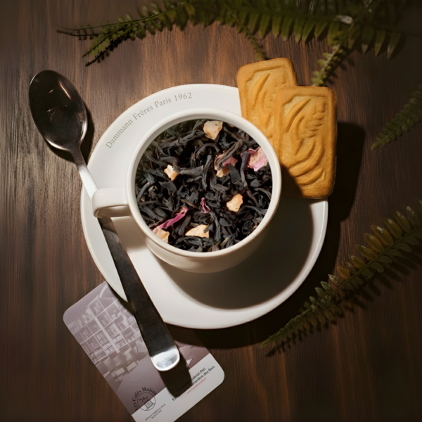 Voyage à Saint Petersbourg Vrac