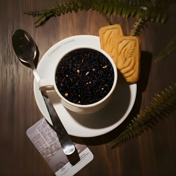 Balade en Flandres Vrac