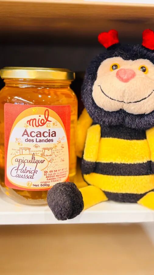 MIEL D'ACACIA