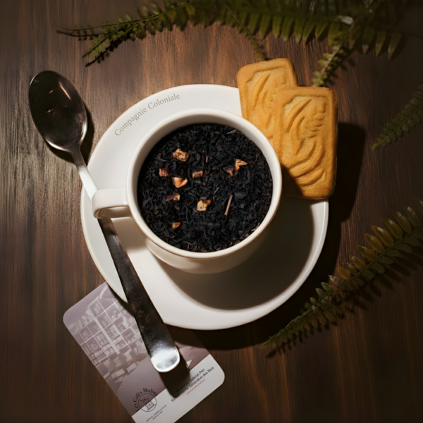 Balade en Terre Neuve Vrac